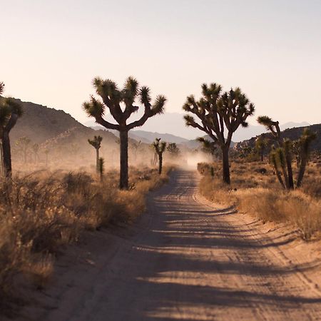 Modern Desert Dream - New Build Twentynine Palms Exterior foto